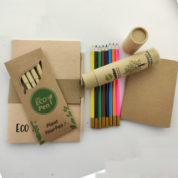 2022 Set Alat Tulis Daur Ulang Ramah Lingkungan: Pens, Pensil, Notebook &amp; Kantong Cotton