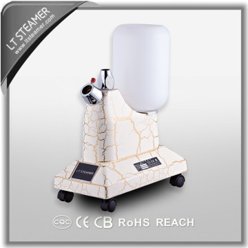 LT-4 White household iron commercial vapor generator new fashion design vertical garment steamer