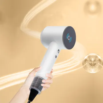Negative Ionic Brushless Motor High Speed Hair Dryer