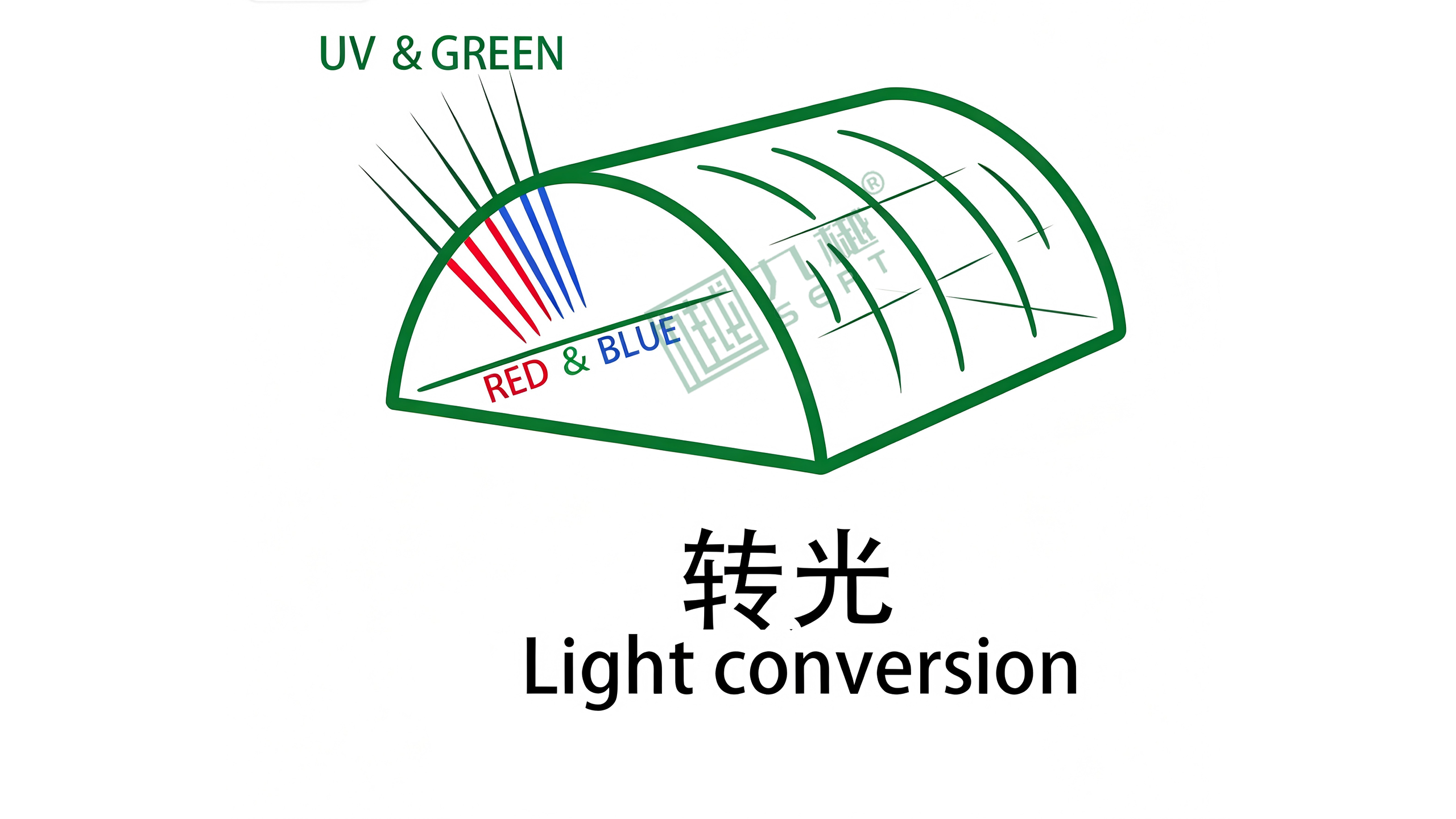light conversion