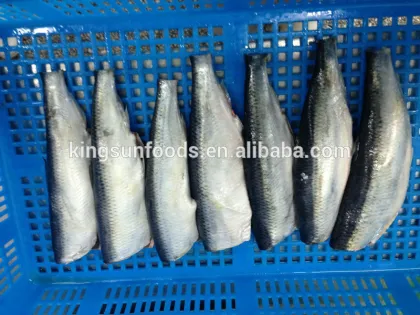 Herring H-G Frozen fish High Quality