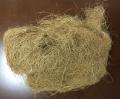 Coconut Fibre Yellow Import