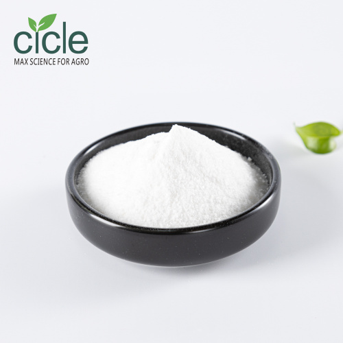 Pure Natural Succinic Acid