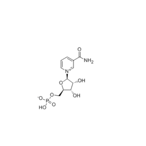 NAD utama + Perantaraan β-Nicotinamide Mononucleotide CAS 1094-61-7