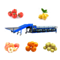 Mesin penyortiran ukuran sayuran buah -buahan