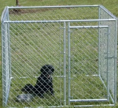 chain link dog runs kennel / dog panels / dog fences