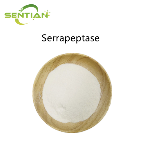Serrapeptase Enzyme Powder for Dietary Supplements