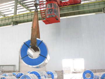 Galvanized Steel Coil