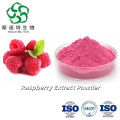 Pure Raspberry Extract Powder for Natural Flavor and Nutrition