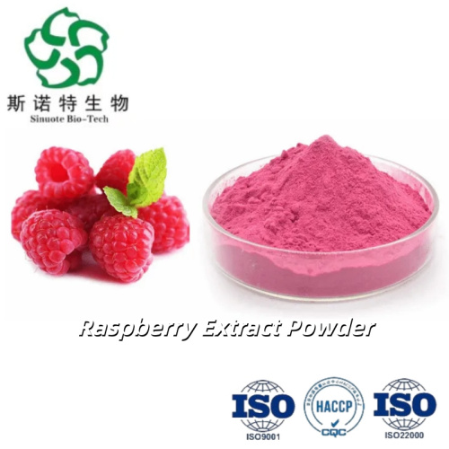 Pure Raspberry Extract Powder for Natural Flavor and Nutrition