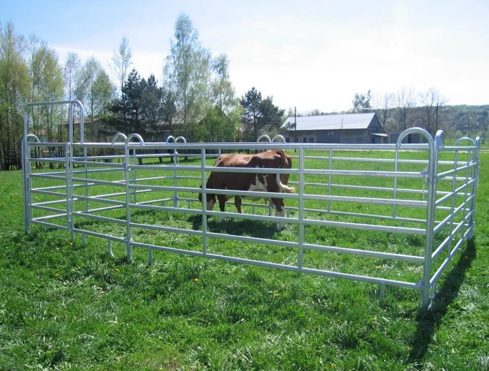 Chantiers de chevaux en métal, panneau de clôture de bétail, panneau de bétail de mouton