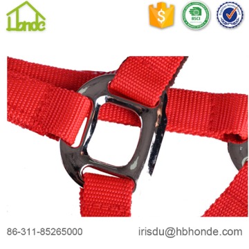 Headcollar horse riding horse halter