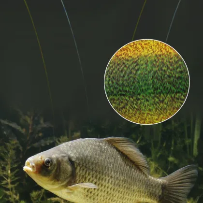 OEM Nylon Fishing Line 300m/500m - Smoother Floating Carp Fishing Tackle