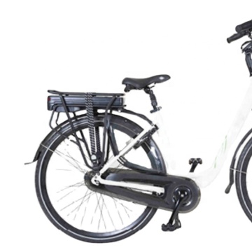 36V-48V e-Bike Battery with ISO13849 and UN38.3 Certifications - OEM Cell Rear Carrier with 2A/3A Charger