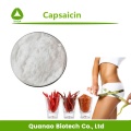 Medicijngebruik Chili Peper Extract Capsaïcine 95% -99% Poeder