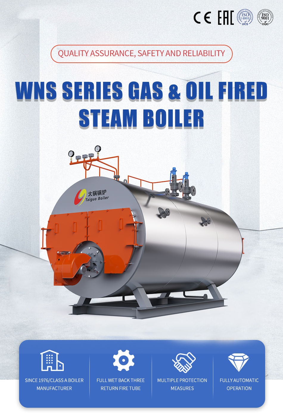 oilgas fired boiler (12)