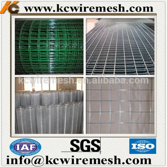 SS Welded Wire Mesh/Galvanized /PVC Welded Wire Mesh