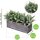 Faux Eucalyptus Plants in Rectangular Wood Planter Box