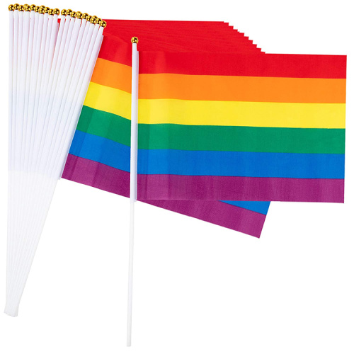 Hot Selling LGBT Printed Polyester Pride hand Flags