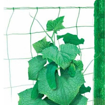 Filet de support pour plantes grimpantes pour légumes