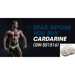 Fast Delivery sarms Cardarine Gw 501516 Powder