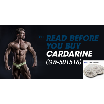 Cardarine de vente chaude GW 501516 pour complément de bodybuilding