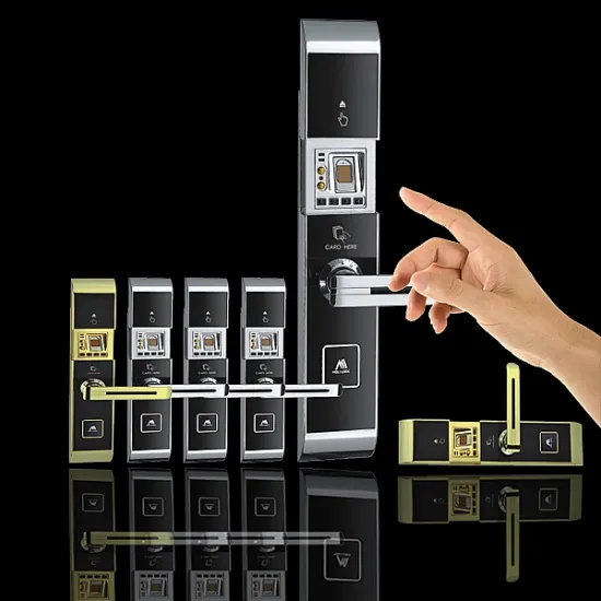 Biometric safty fingerprint lock, door strike plate, China market of electronic fingerprint lock