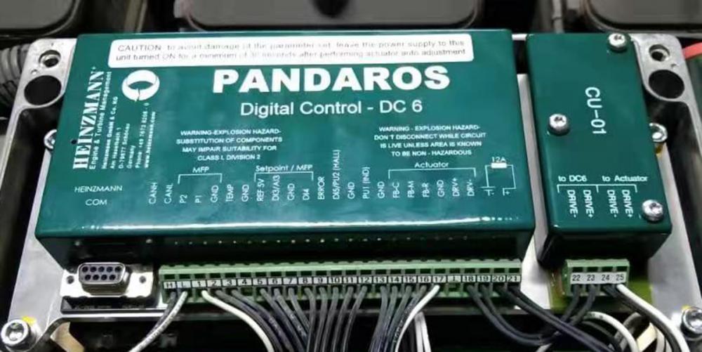 Generador de Heinzmann Dual Pandaro Velocidad Gobernador Pandaros DC6