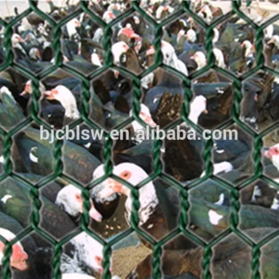 Lowest Price Chicken Wire Mesh