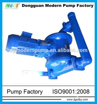 DBY series viton diaphragm pump