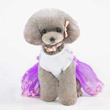 Sommerhundkatze Spring Prinzessin Kleid