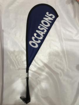 Flexible carflag with pole