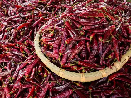 Carefully select high quality Dried chili Pod Pepper