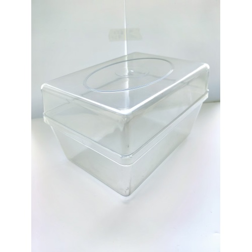 Durable Injection Molding Seed Germination Plastic Box