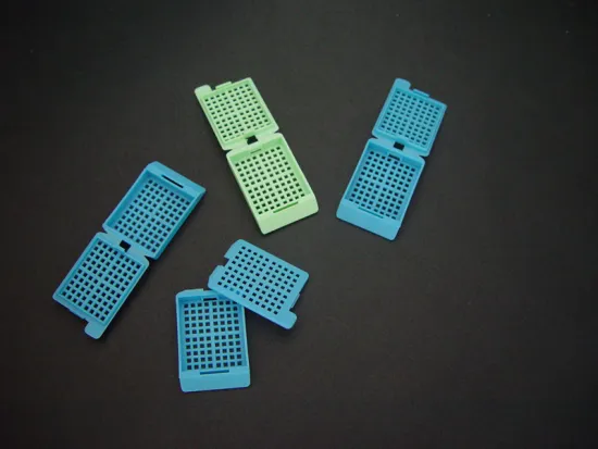 Plastic Embedding Cassette Stripe Holes