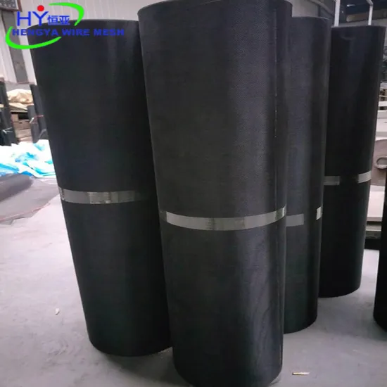 Black Coated Mesh Filter