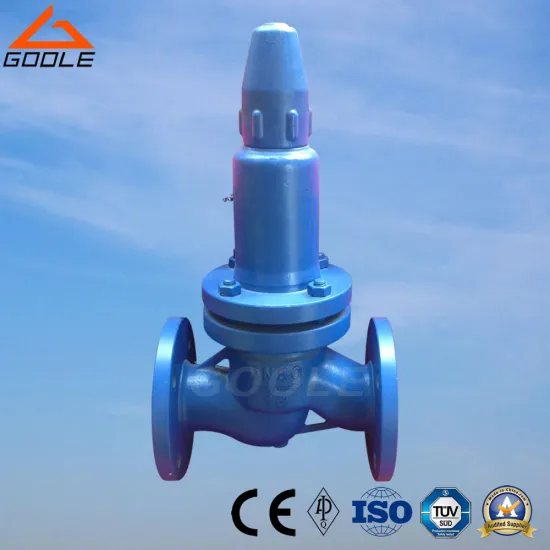 Parallel LPG Safety Reflux Valve (GAHN42F-P18)