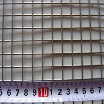 Bird Cage Stainless Steel Welded Mesh