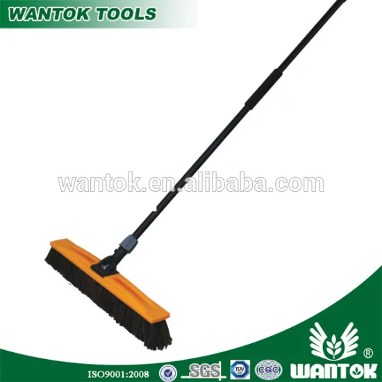 WT0306423 COCO Brush