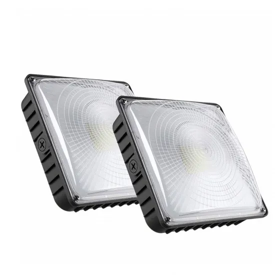 Outdoor IP65 Petrol Retrofit Gas to LED Lighting: 40W, 60W, 80W, and 100W Sealed Canopy Light Solutions