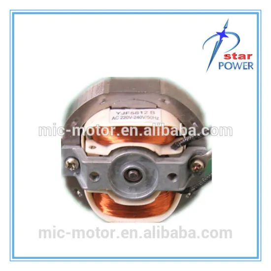 High Efficient Low Rpm Electrical single phase 220v 300w ac motor