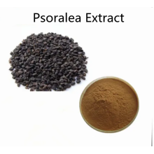 Buy online active ingredients Psoralea Extract powder