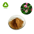 Althea bloem hibiscus extract poeder