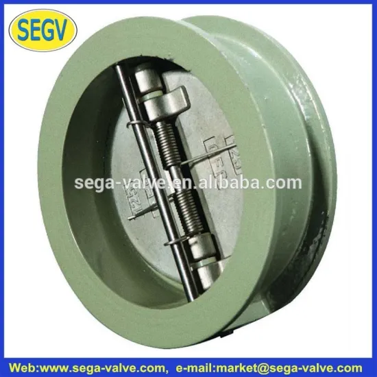 Ss stem vertical spring loaded stainless steel check valve