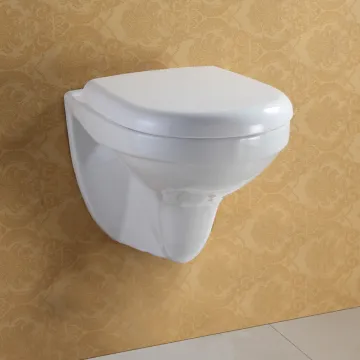 Euro Style Wall Hung Toilet