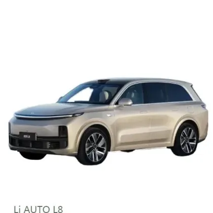 Top-Value 2024 Li Xiang Ideal L8