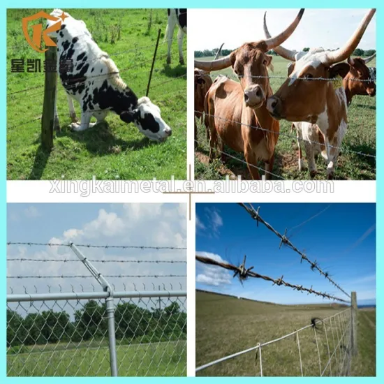 Barbed wire fencing wholesale