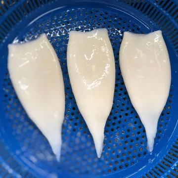 IQF Frozen Todarodes Pacificus Squid Tube U5 U7