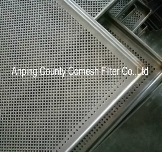 Stainless Steel perforated fruit drying tray