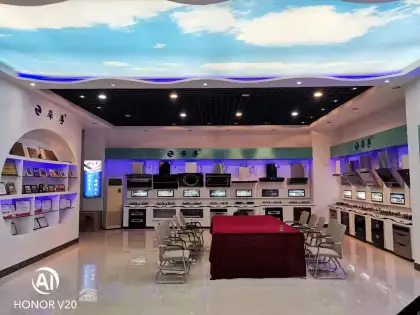 Chinese Home Appliances Range Hood Kitchen Room Island Cooker Hood Extractor